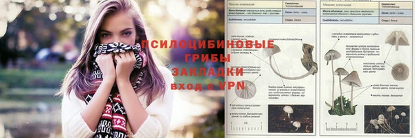 стафф Алексин