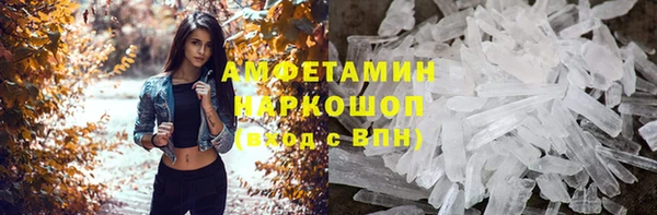 прущие грибы Абинск