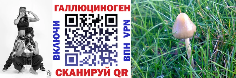 где можно купить   Тюкалинск  Галлюциногенные грибы Cubensis 